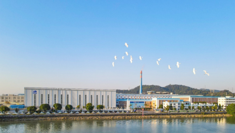 维达国际努力引领行业未来麻将胡了app三十余载坚守(图1)