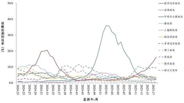 来_高峰_病毒_呼吸道麻将胡了2模拟器新冠又(图2)